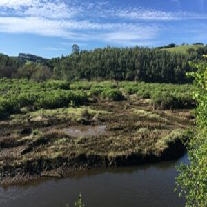 Adaptación al Cambio Climático de Ecosistemas Estuarinos (IHCantabria)-image